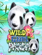 สมัครสมาชิกรับ 68 บาท ทดลองใช้ฟรี เล่นทันทีกับ Joker Gaming