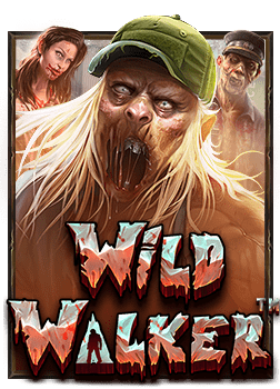 ความลับที่ซ่อนอยู่ในทาง เข้า pg slot auto 168 สำหรับนักปั่นสล็อต