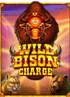 ทำความรู้จัก logo joker slot กับการทดลองเล่น